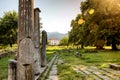 Agora of Thassos Limenas Royalty Free Stock Photo