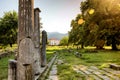 Agora of Thassos Limenas