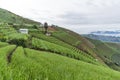 Agrapura onion plantations, Indonesia