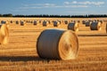 Agrarian landscape Hay bales scattered across a golden field Royalty Free Stock Photo