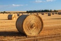 Agrarian landscape Hay bales scattered across a golden field Royalty Free Stock Photo