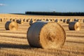 Agrarian landscape Hay bales scattered across a golden field