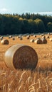 Agrarian landscape Hay bales scattered across a golden field Royalty Free Stock Photo