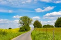 Agrarian fields and meadows with curved path, rural landscape in spring