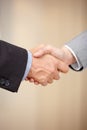 We are in agreement. Close up of two businessmen shaking hands. Royalty Free Stock Photo