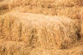 Agricultural Animal Livestock Feed, Harvested Dried Straw Stack piled in preparation for autumn industrial farm animals food