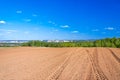 Agricultural arable land field in the spring for crops Royalty Free Stock Photo