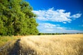 Agricultural background with field and sky. Royalty Free Stock Photo