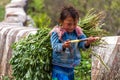 Agricultural child labor Vietnam