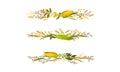 Agricultural Composition with Different Spikelet and Grain Crop Like Corn and Wheatear Vector Set