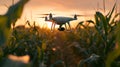 Agricultural drone in action, monitoring crops in a cornfield at dusk with camera ready