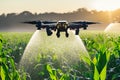 The agricultural drone is flying and spraying fertilizer Royalty Free Stock Photo