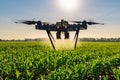 The agricultural drone is flying and spraying fertilizer Royalty Free Stock Photo