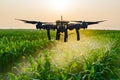 The agricultural drone is flying and spraying fertilizer Royalty Free Stock Photo