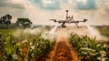 Agricultural drone spraying fertilizer on corn field