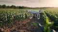 Agricultural drone technology at work in a cornfield, with soft morning light