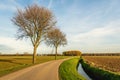 Agricultural Dutch polder landscape in autumn with a plowed field and two bare trees next to a curved country road. It is a sunny Royalty Free Stock Photo