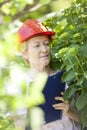 Agricultural Engineer Woman