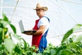 Agricultural engineer working in the greenhouse. Royalty Free Stock Photo