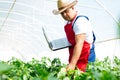 Agricultural engineer working in the greenhouse. Royalty Free Stock Photo