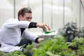 Agricultural Engineers Test Plants Health and Analyze Data with Tablet Computer. Biotechnology engineer examining plant