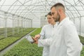 Agricultural Engineers using tablet greenhouse. Seedlings