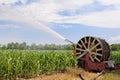 Water sprinkler installation in a field of corn. Royalty Free Stock Photo