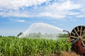Water sprinkler installation in a field of corn. Royalty Free Stock Photo