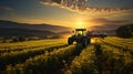 Agricultural equipment working in the field at sunset. Tractor watering the green plants growing in rows