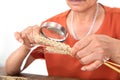 Agricultural experts hold a magnifying glass to view the mature wheat ears sampled Royalty Free Stock Photo