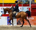 Agricultural fairs Expo Saint-Hyacinthe.