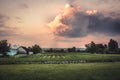 Agricultural farm countryside landscape with dramatic sunset sky and cultivated field on farmer`s vegetable garden. Royalty Free Stock Photo