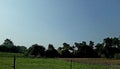 Agricultural farming with different trees shape like animals background Royalty Free Stock Photo