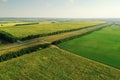 Agricultural farming fields during harvest season near road. Farmland, rural scenery. Natural background. Aerial view