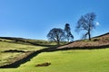 Agricultural Farmland English Lake District