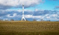 Agricultural field as place of stop-overs, geese make long stops in process of migration to replenish energy resources Royalty Free Stock Photo