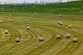 Agricultural field with bales o hay. Royalty Free Stock Photo