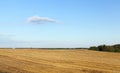 Agricultural field and blue sky