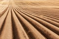 Agricultural field with even rows in the spring Royalty Free Stock Photo