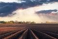 Agricultural field with even rows and watering rainy clouds