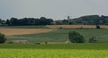 Flemish landscape with farmland and hills with forest