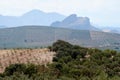 Agricultural field with growing olive trees, on the background of a valley in form of a sleeping Indian man's