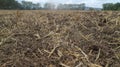 Agricultural field after harvest: soil, ground and land