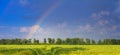 Agricultural field on horizon under the sky after the rain with colorful rainbow