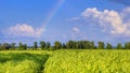 Agricultural field on horizon under the sky after the rain with colorful rainbow