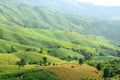 Agricultural field on the mountain