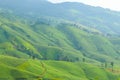 Agricultural field on the mountain