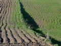 Agricultural field with parallel furrows and growing grass Royalty Free Stock Photo