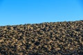 Agricultural field with plowed land Royalty Free Stock Photo