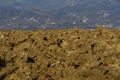 Agricultural field with plowed land Royalty Free Stock Photo